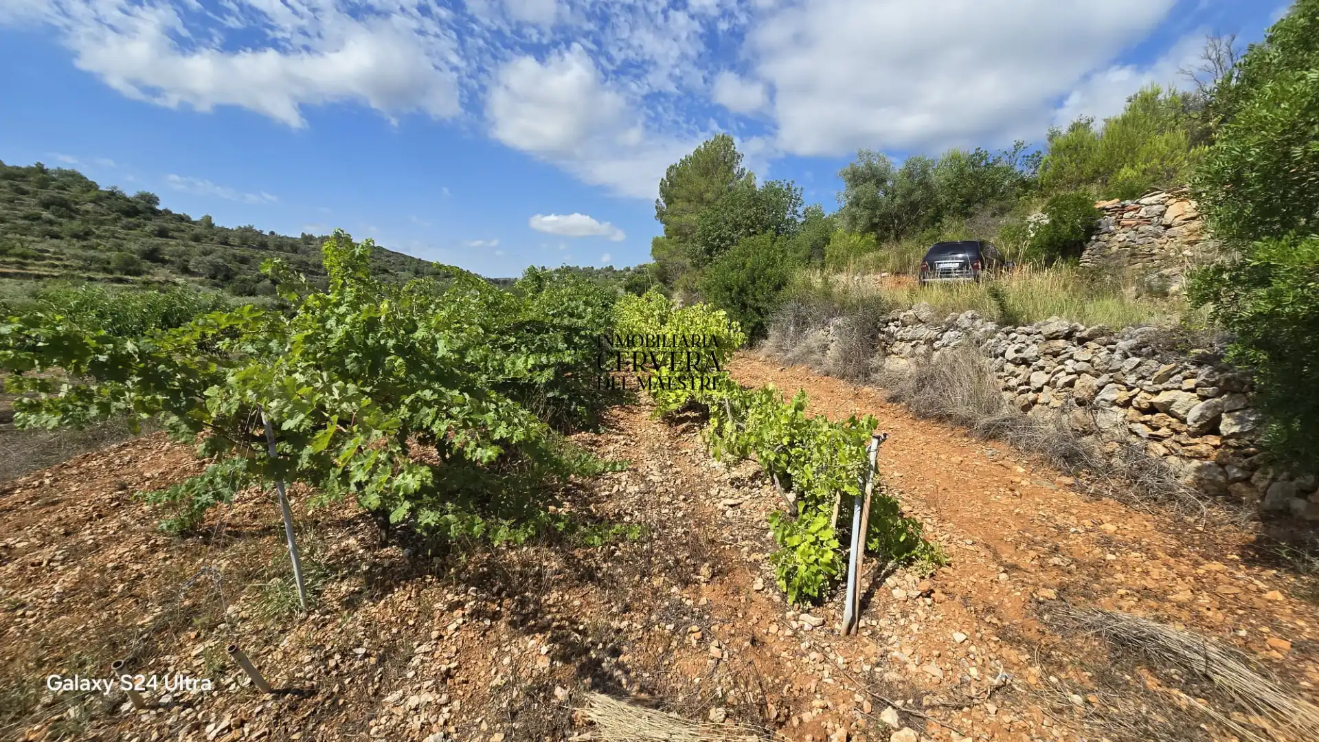 Rural land for sale in Cervera del Maestre, imagen 5