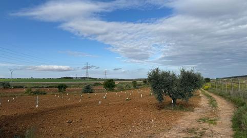 Photo 2 of Country house for sale in Nacional 630, Torremejía, Badajoz