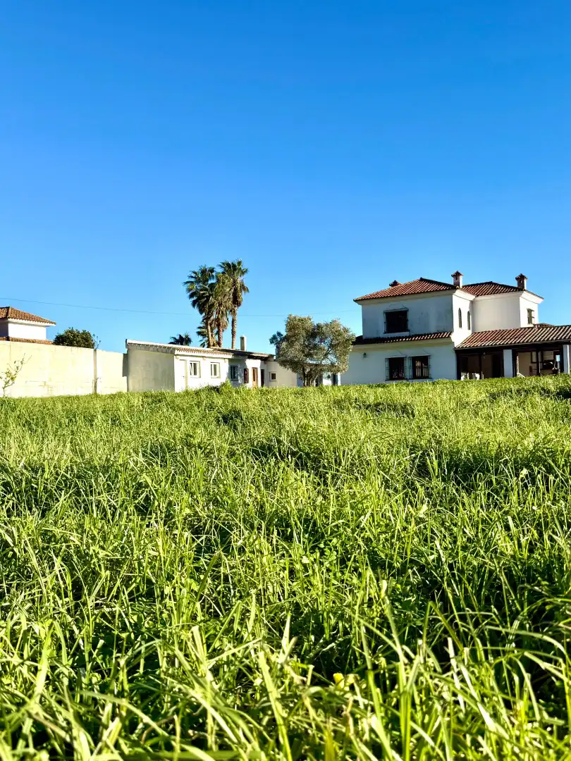 Chalet con terraza en venta en Los Brezos 2, imagen 3