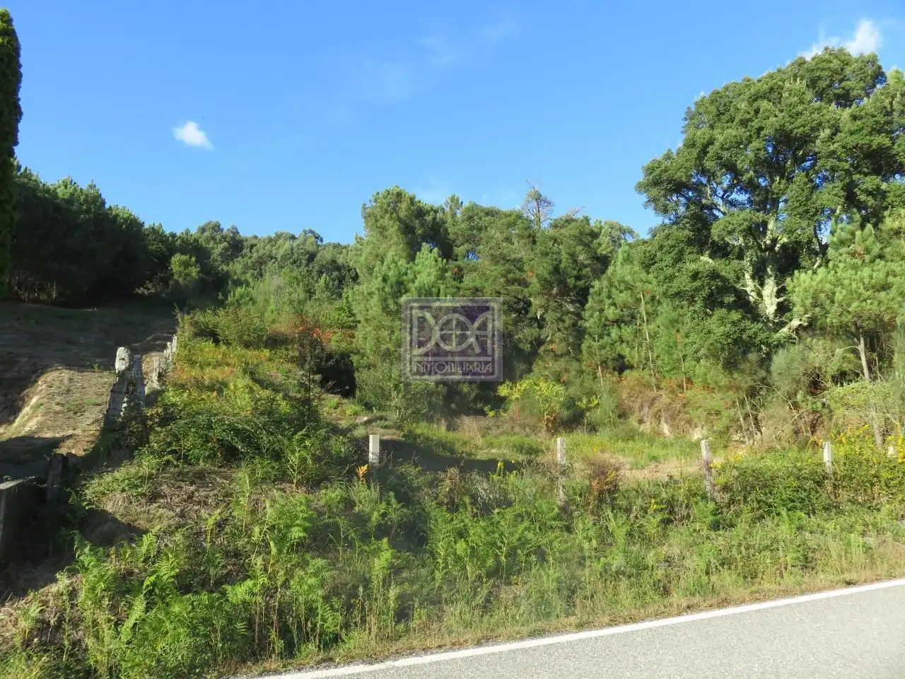 Lands and plots for sale in Mondariz