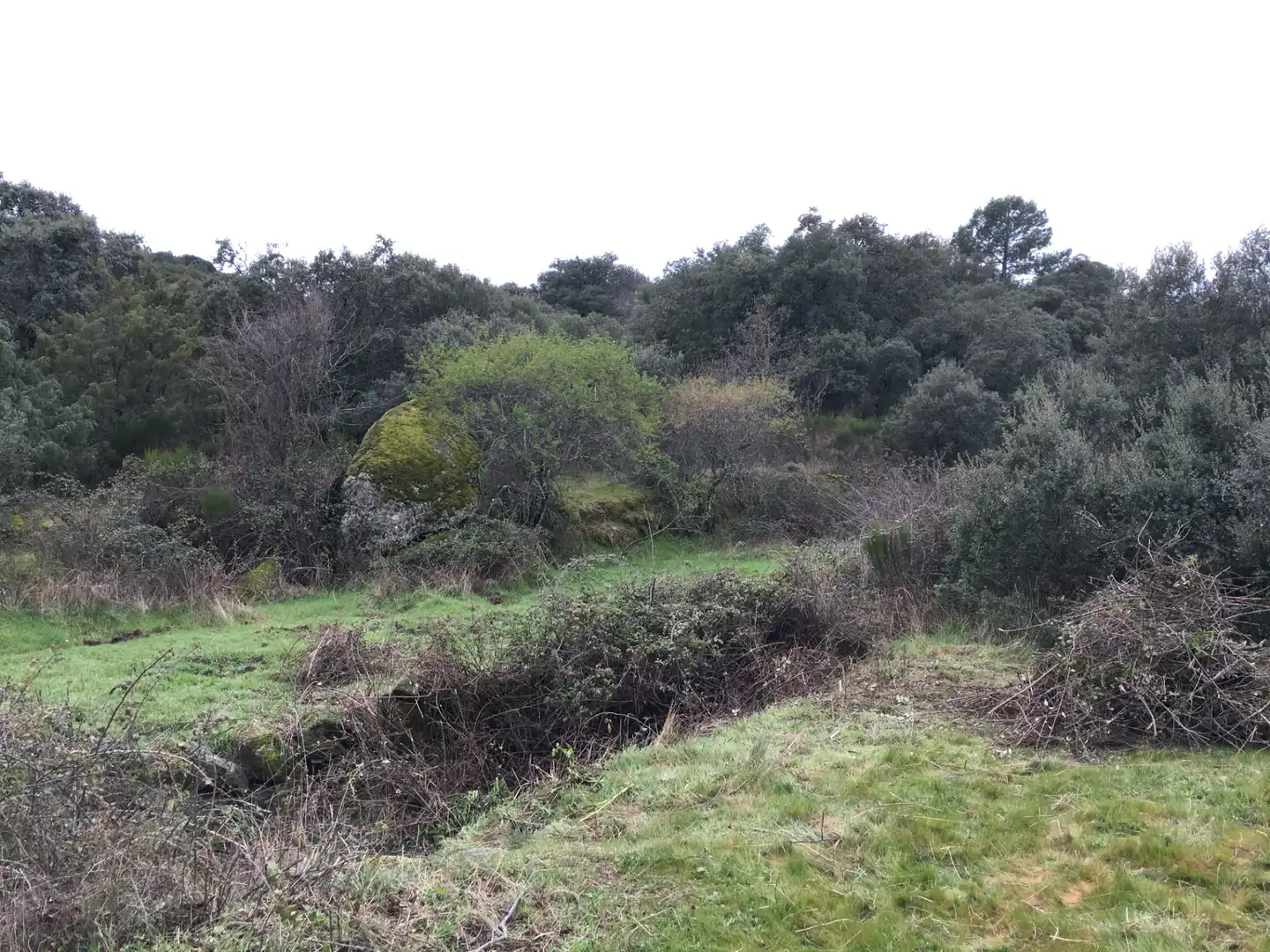 Rural land for sale in Cadalso de los Vidrios, imagen 17