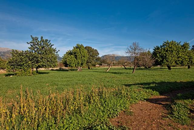 Finca rústica en Venta en Selva