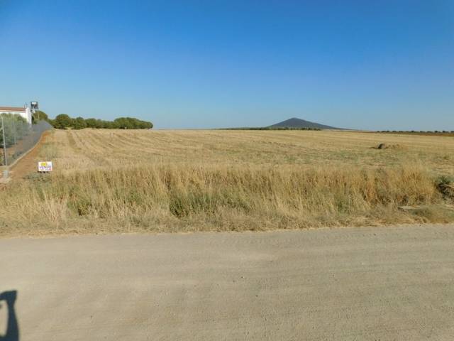 Terreno en Venta en Mengabril