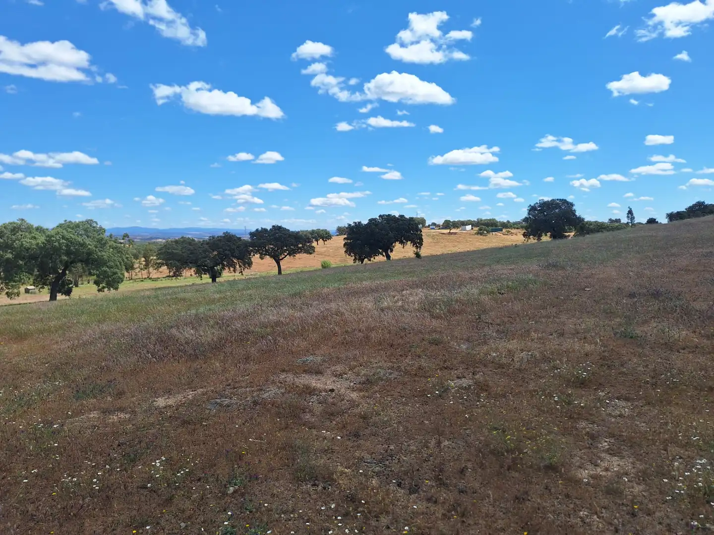 Terreno en venta en Calle Colon, 15, Tharsis