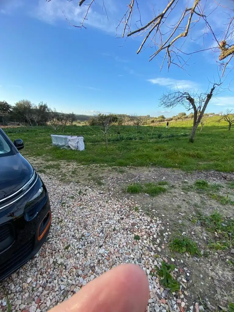 Terrain résidentiel à vendre à Algaida, imagen 11
