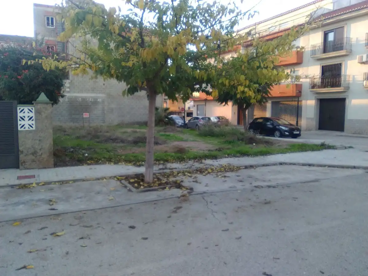 Terreno rústico en venta en Algímia de Alfara, imagen 2