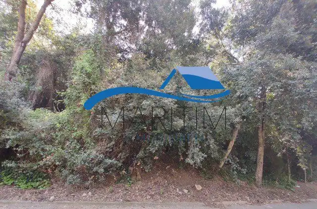 Lands and plots for sale in Romani, imagen 8