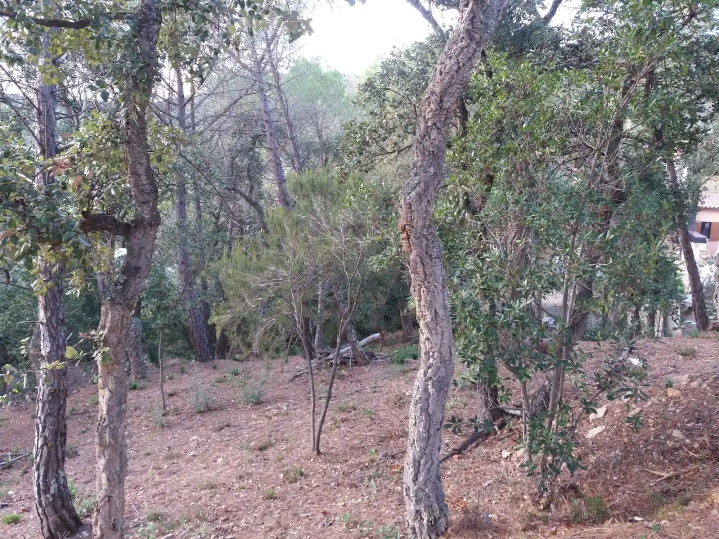 Terreno residencial en venta en Avinguda del Bell-lloc, imagen 18