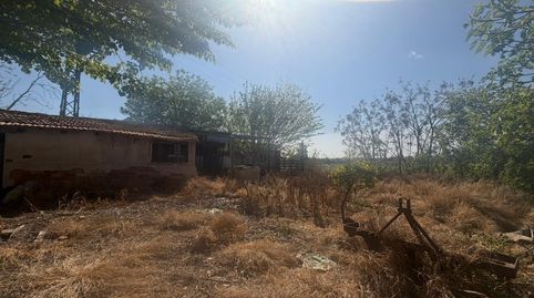 Foto 2 de Finca rústica en venta en Almoradí, Alicante