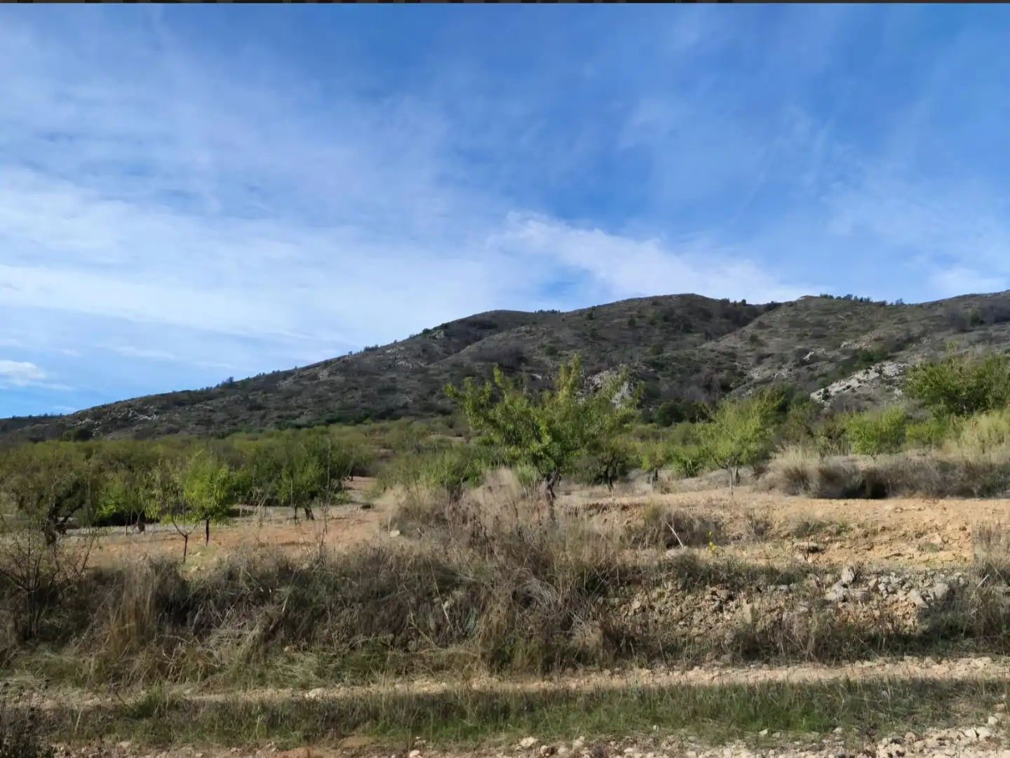 Terrenys i solars en venda a MU-503, imagen 5