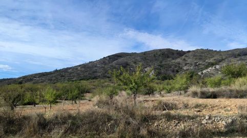 Terreno con caseta Castellar Poleo, immagine 5