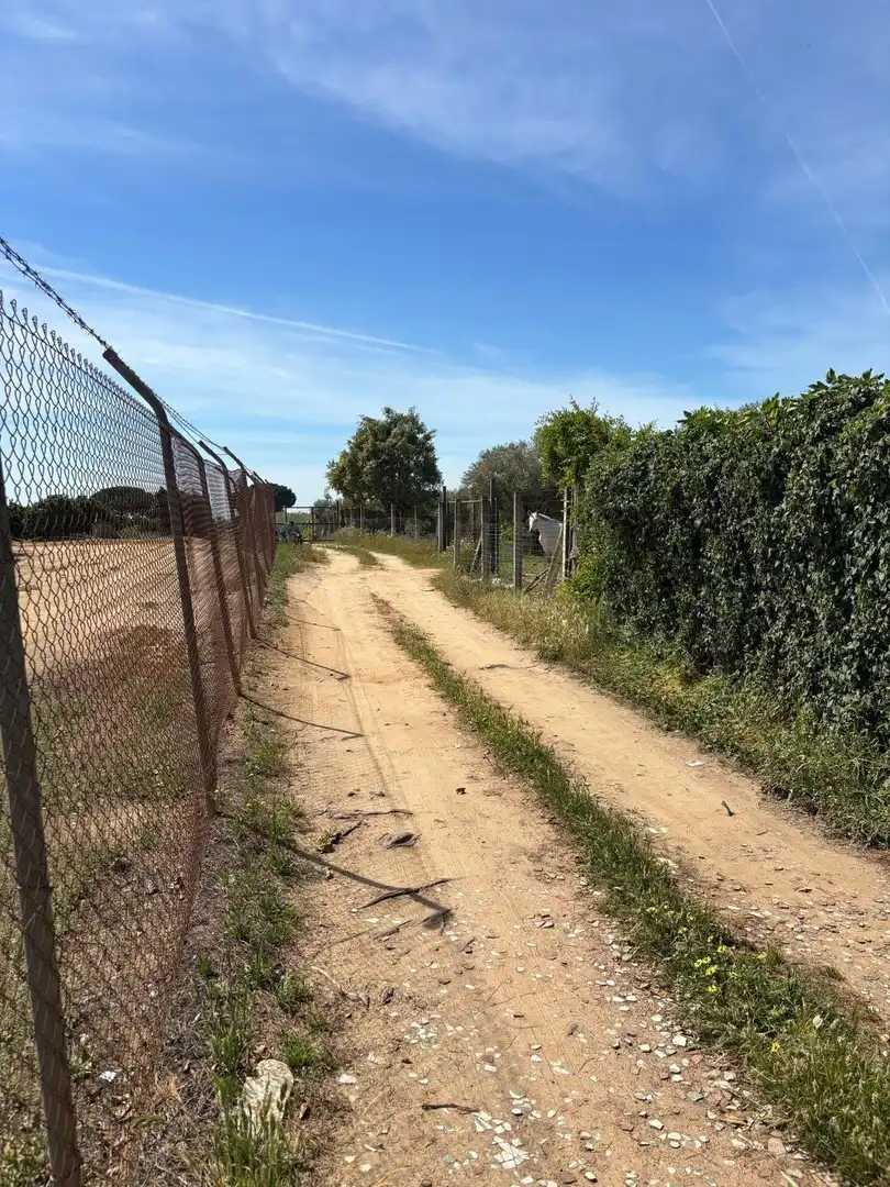 Terreni e lotti in vendita a Polígono Polígono 14 Paraje 87 LOS MONTES, imagen 28