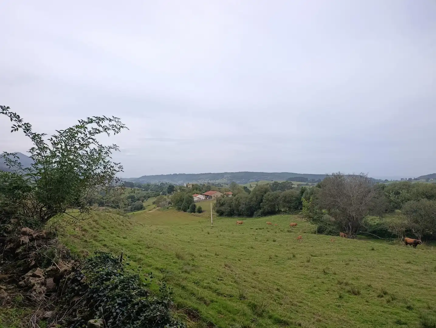 Rustikales Grundstück zum Verkauf in Carretera Piñera (Noriega) 0, imagen 62