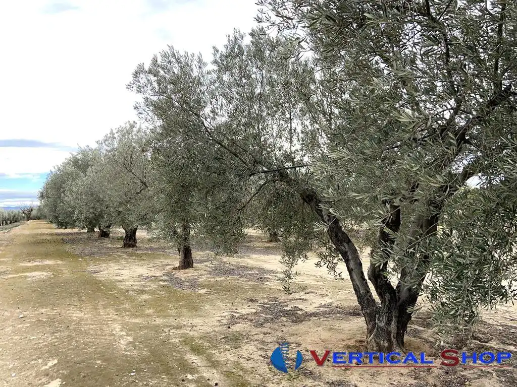 Casa o chalet en venta en Caudete