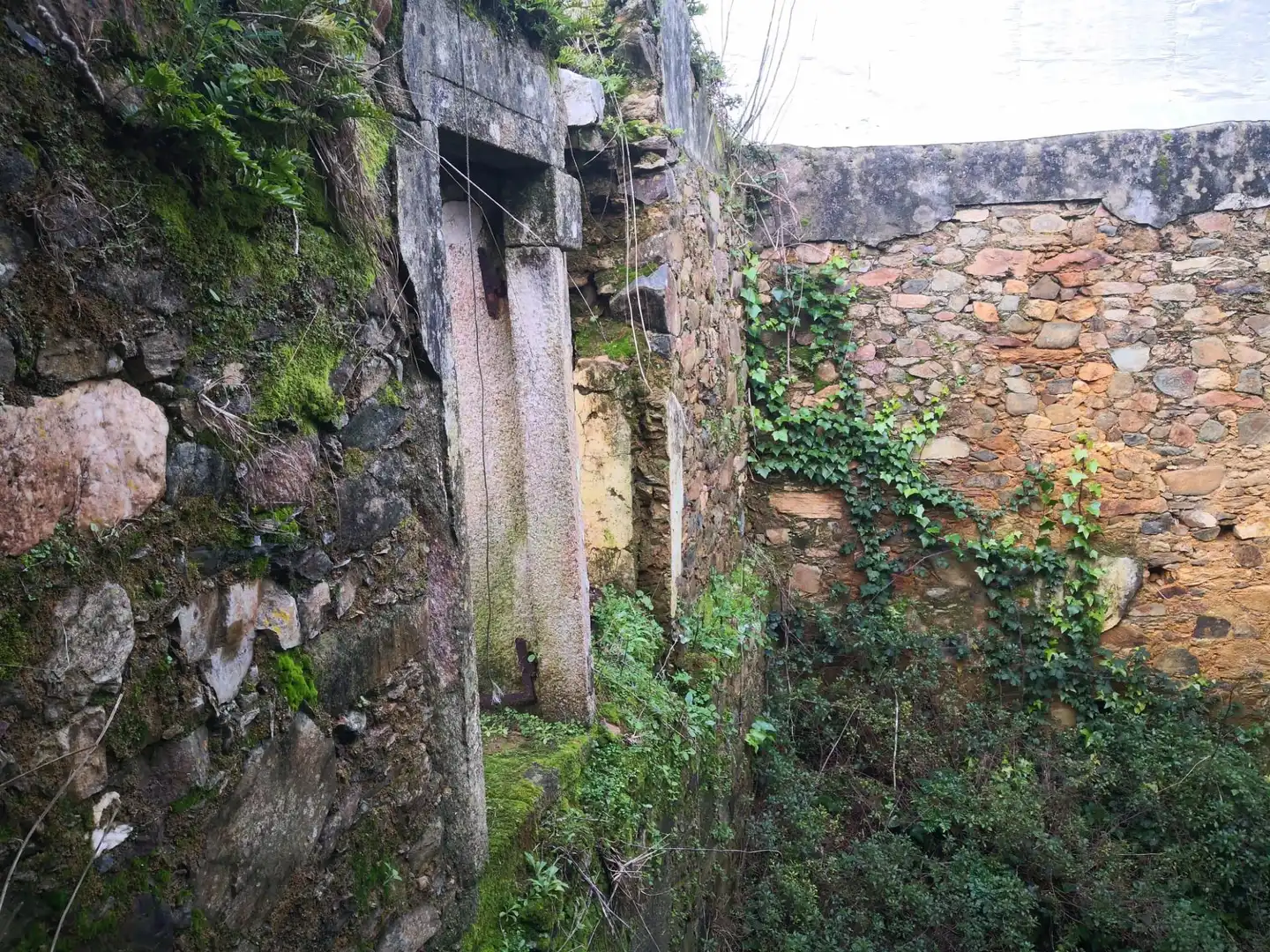 Terreni e lotti in vendita a Malpica de Bergantiños, imagen 6