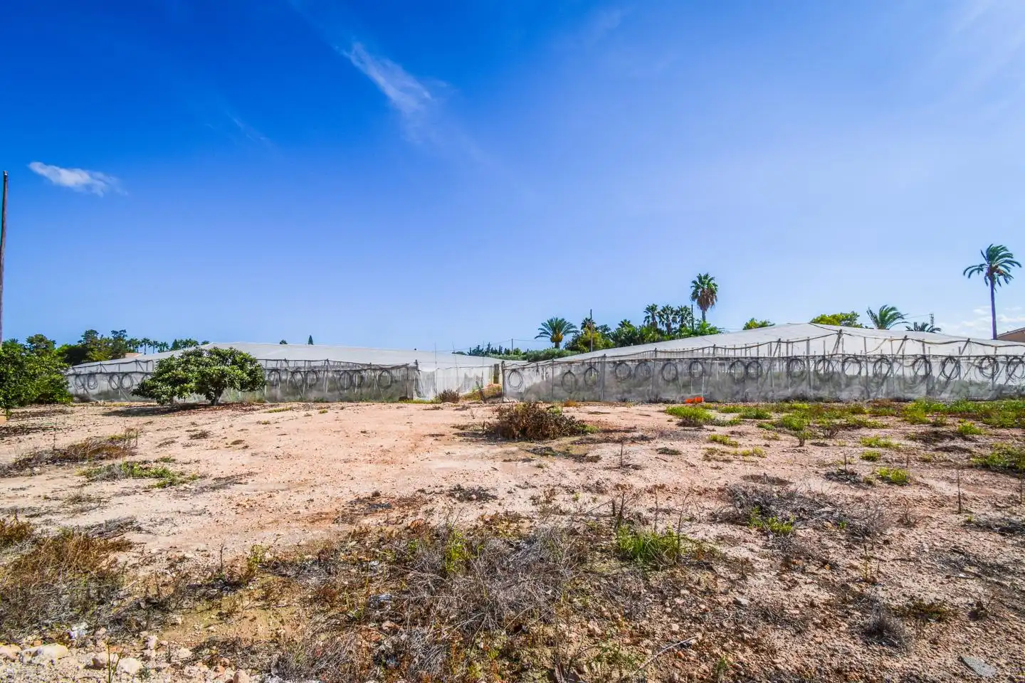 Terrain rustique à vendre à Elx - Santa Pola, imagen 10