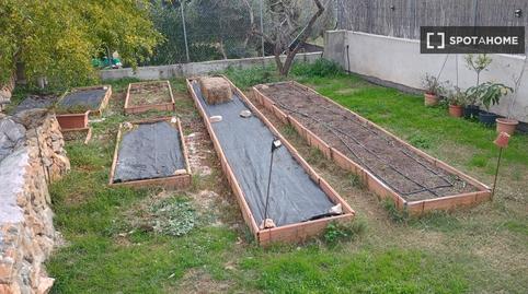 Photo 5 of Flat for share in Olivella, Barcelona