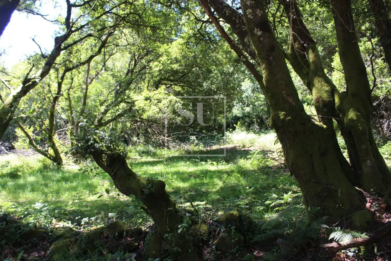 Xalet amb jardí en venda a Tomiño, imagen 4