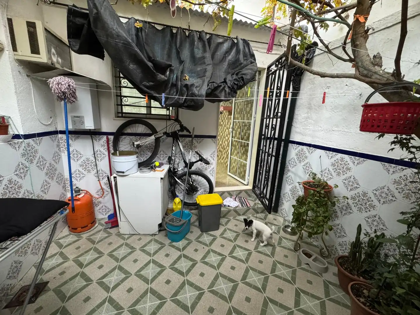 Maison à vendre à Rute, imagen 13