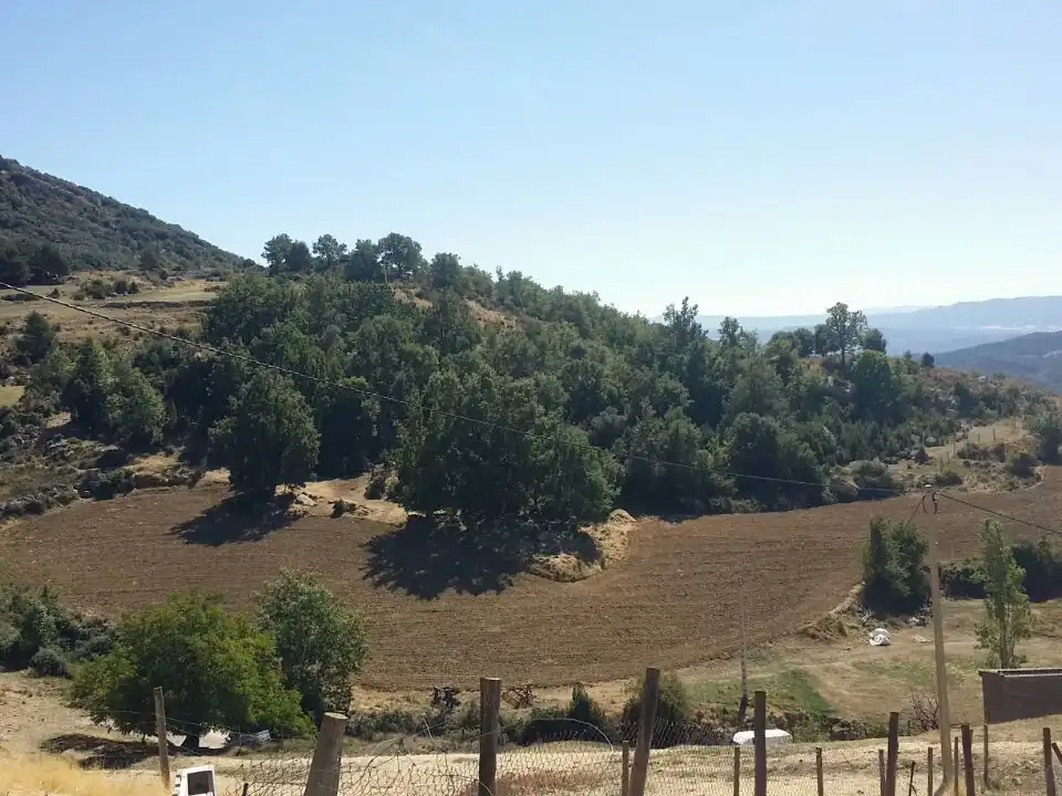 Houses for sale in Isábena, Huesca