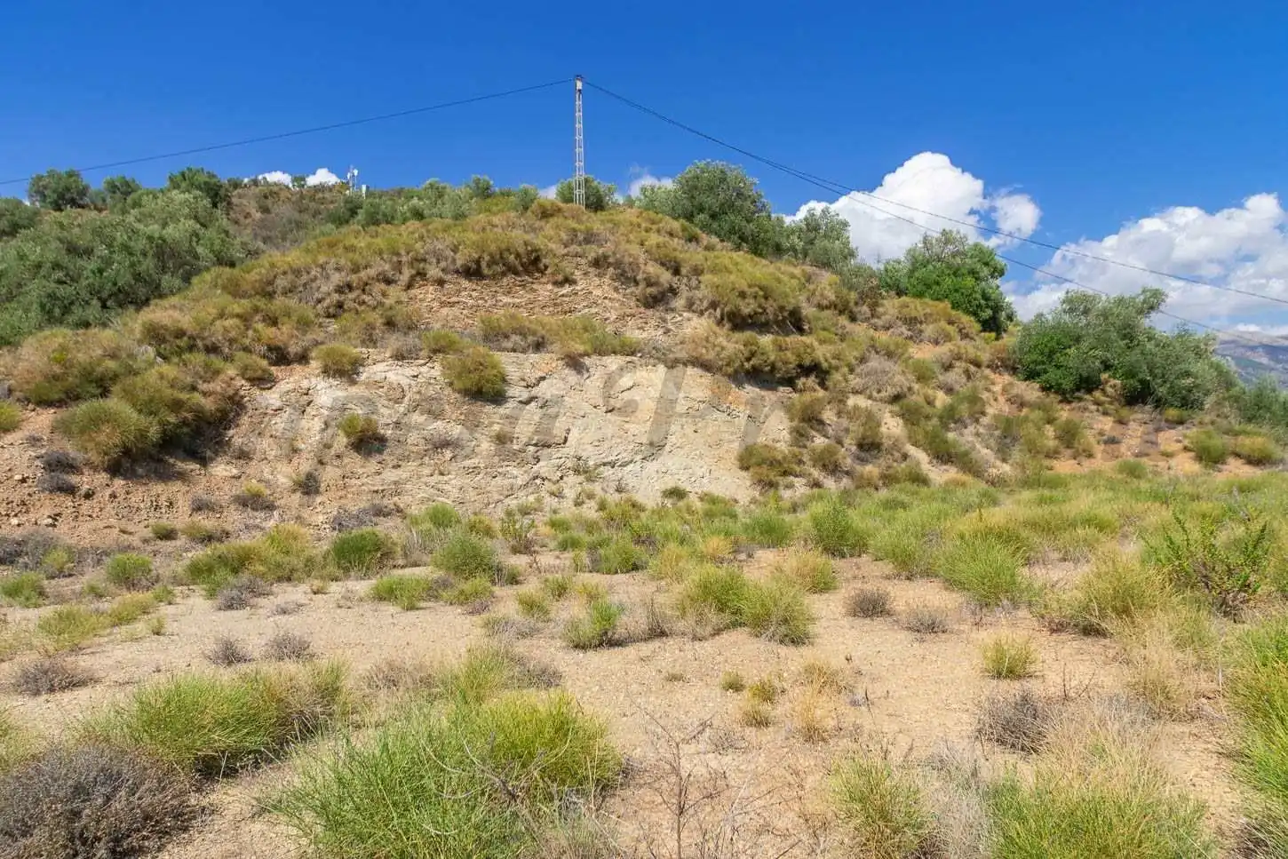 Terreny rústic en venda a Canillas de Albaida, imagen 5