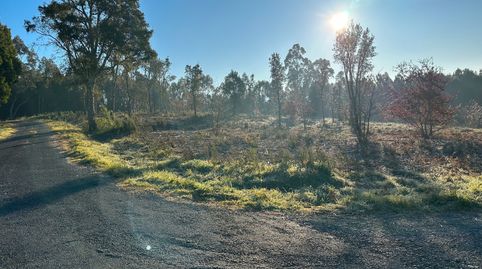 Vendo GRAN terreno rustico con 5.965m2 muy bien situado, immagine 3