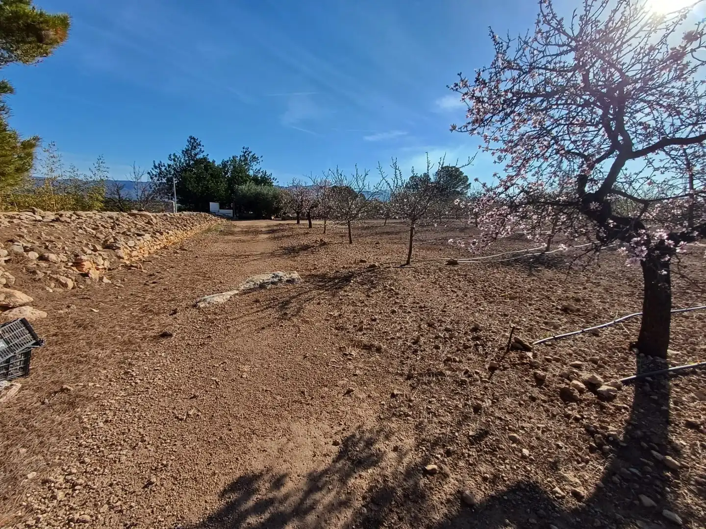 Land for sale in Aldover