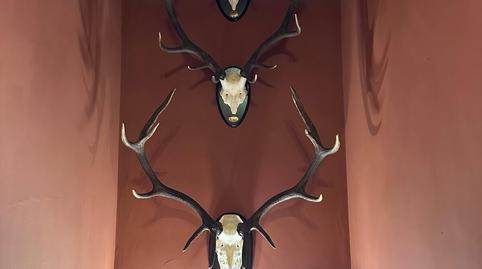 Foto 3 de Dúplex en venda a Carmona, Sevilla