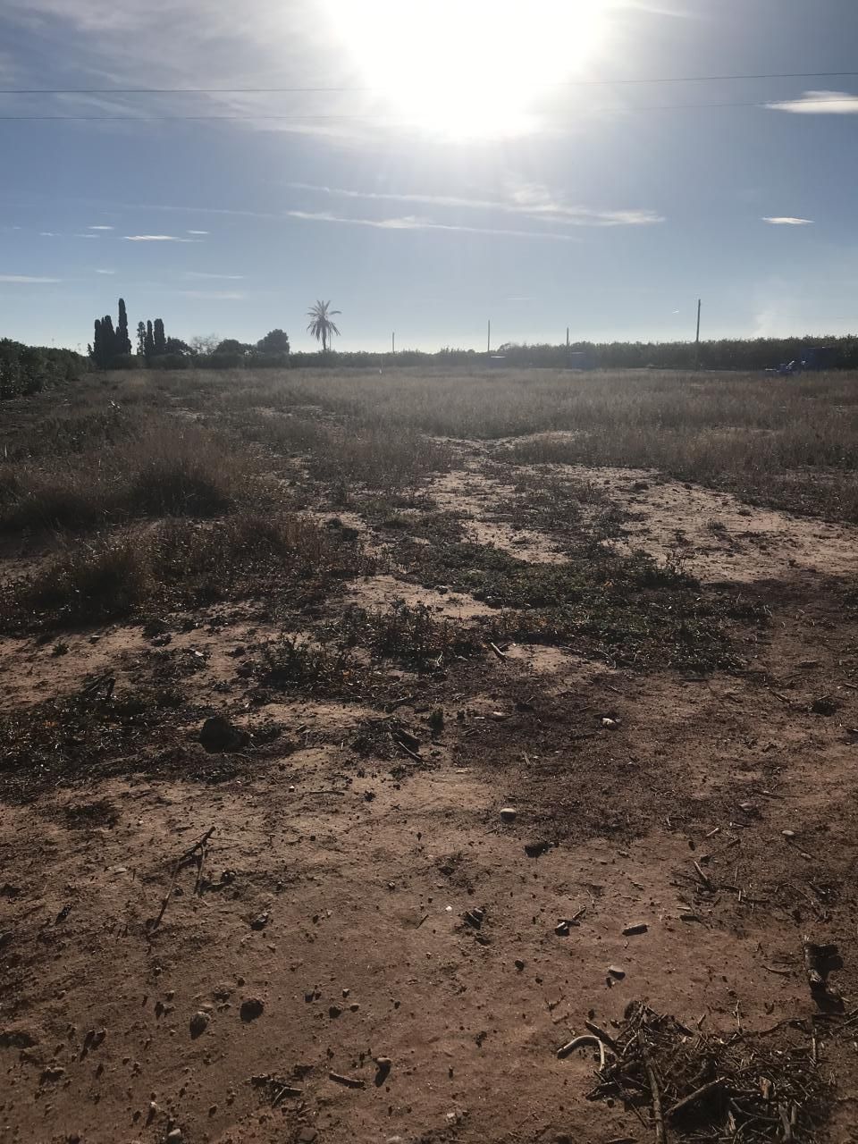 Residencial en venta en Moncada