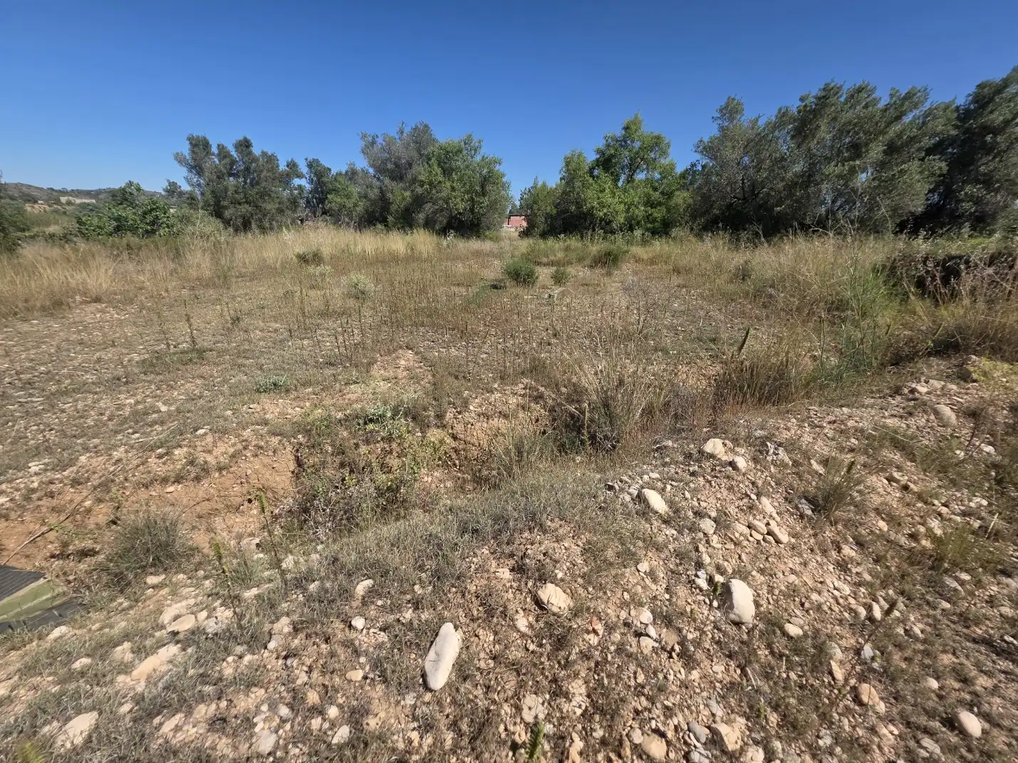 Rural land for sale in Vilamarxant, imagen 8