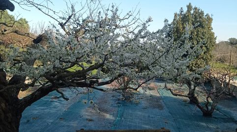 Foto 4 de Casa o chalet en venta en Camí de Montgai, 1, Cubells, Lleida