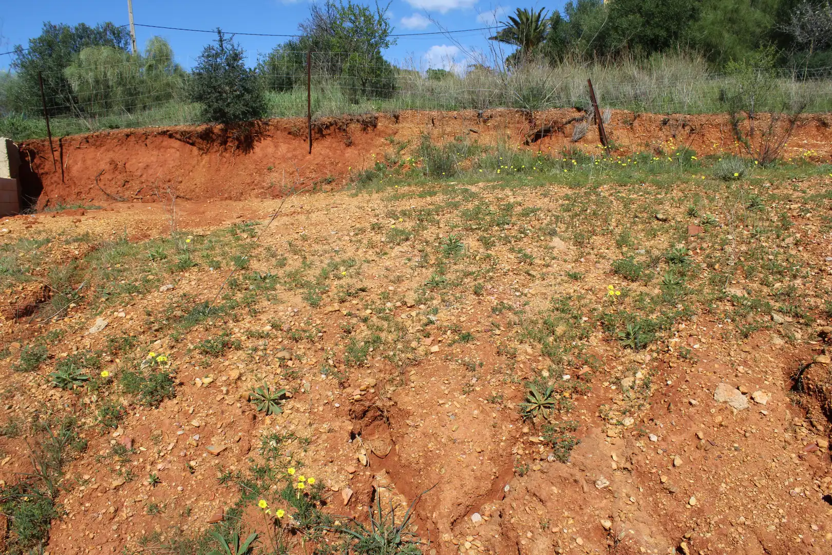 Terreni e lotti in vendita a Ayamonte ciudad, imagen 7