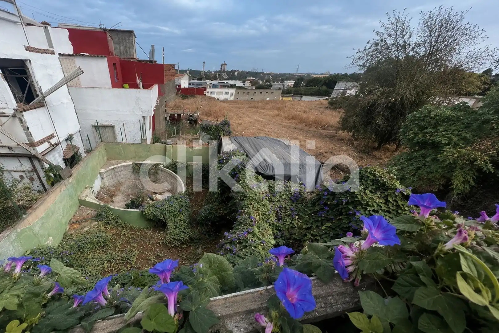 Houses for sale in San Roque  with Heating and Terrace