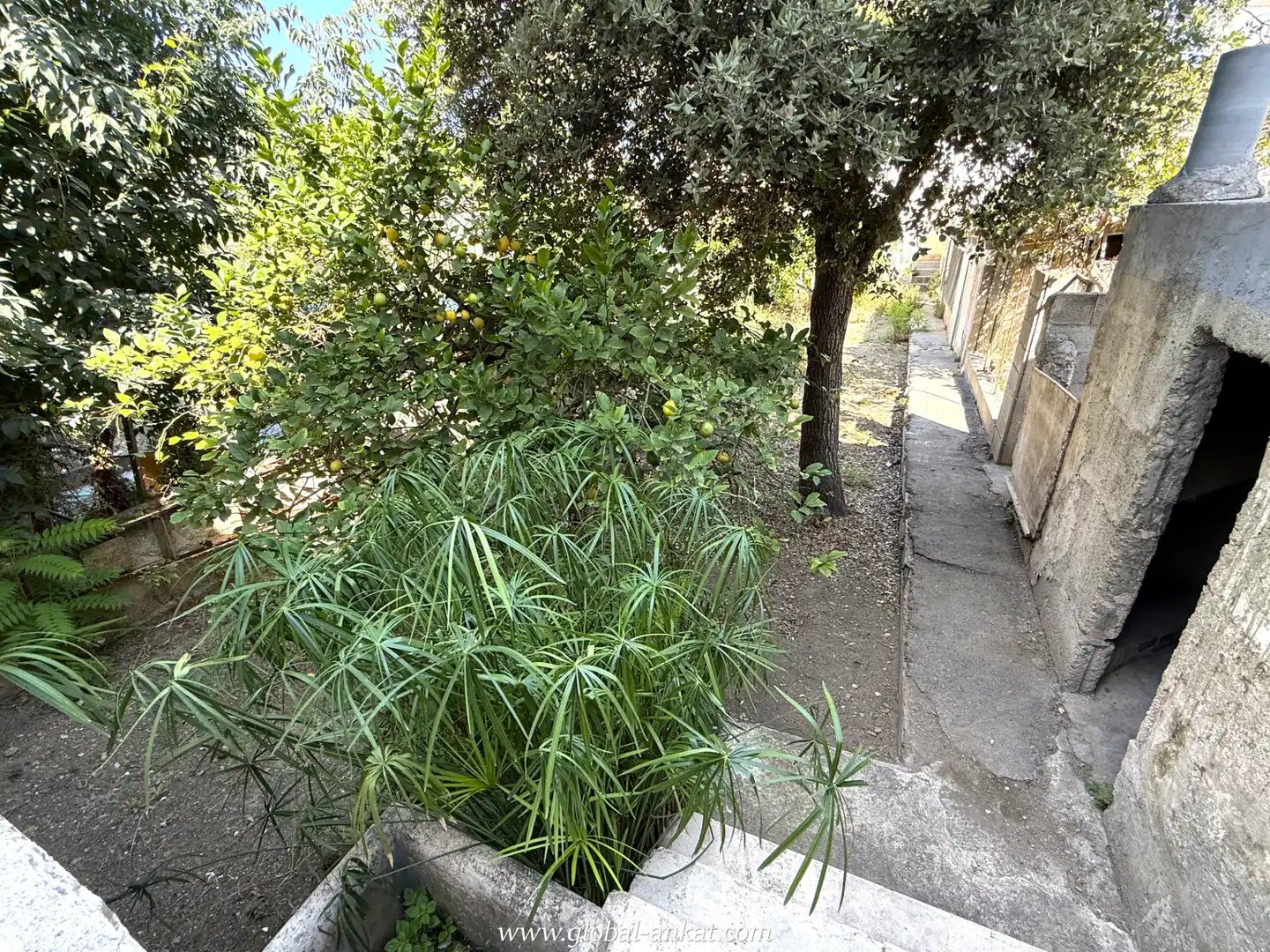 Planta baixa en venda a Felanitx Poble