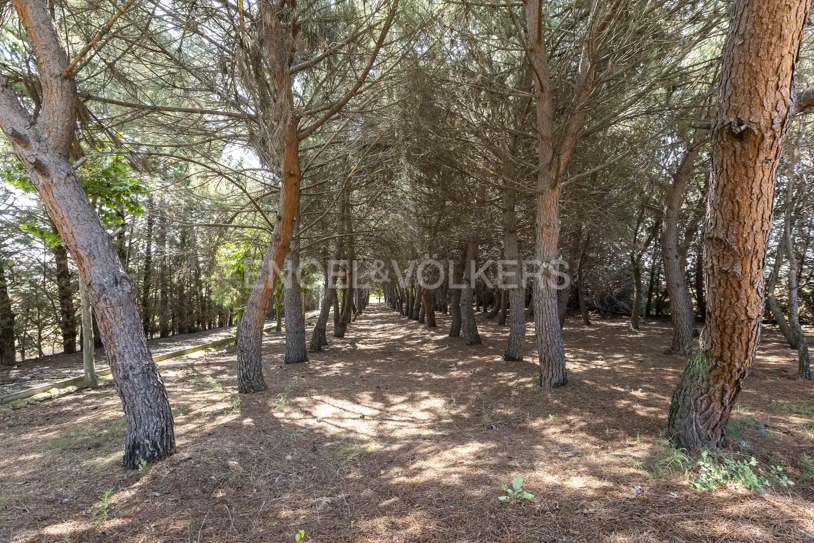 Casa o chalet en venta en Algete con Aire acondicionado, Calefacción y Jardín privado