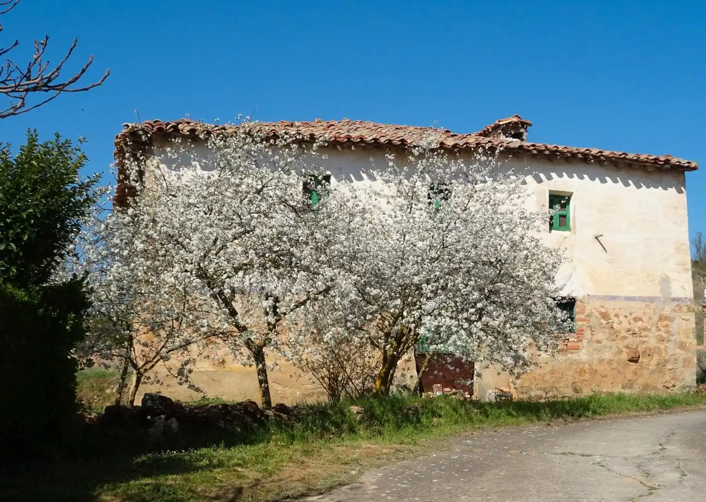House with garden for sale in Travesía Mayor 6, imagen 10