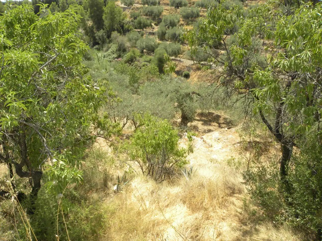 Terreno rustico in vendita a Camino Picardias, imagen 11