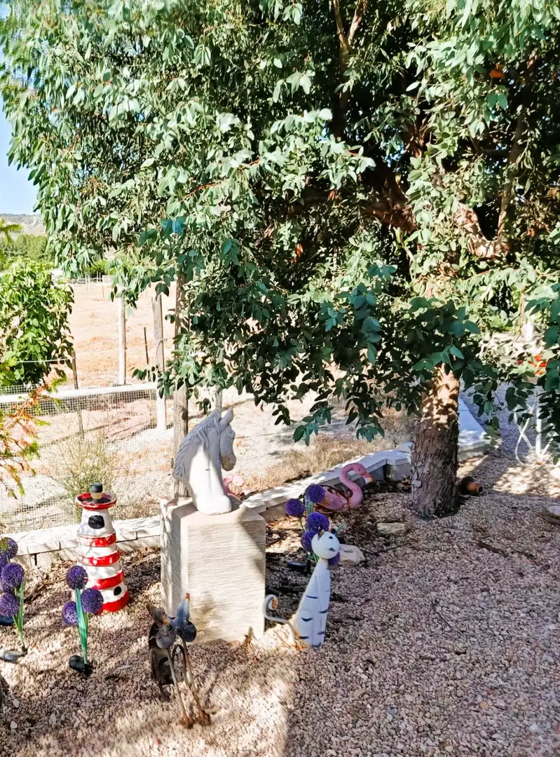 Jardín de Piso en venta en Villena