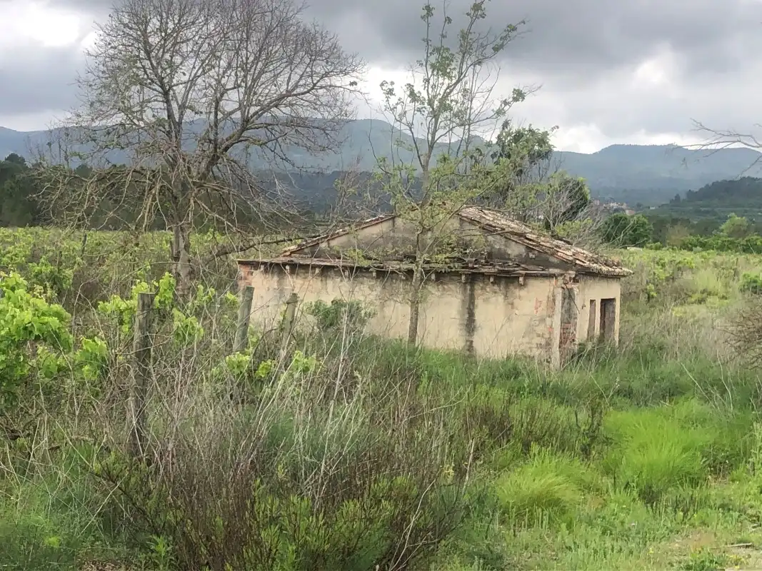 Terreno rústico en venta en Castelló de Rugat, imagen 2