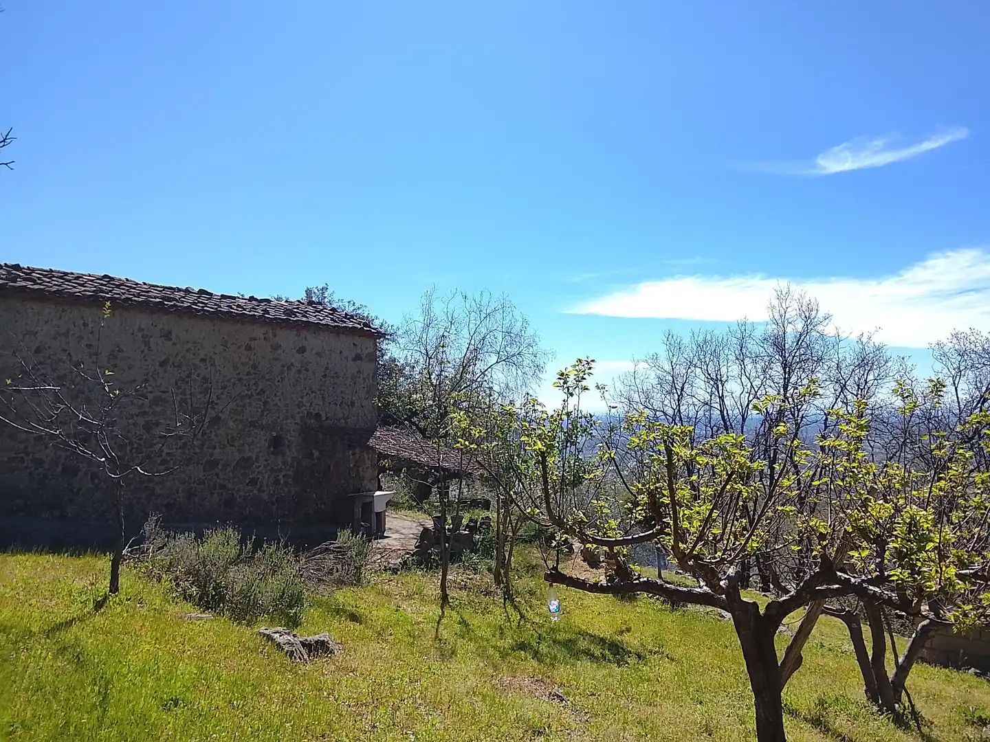 Terreni e lotti in vendita a Candeleda, imagen 60