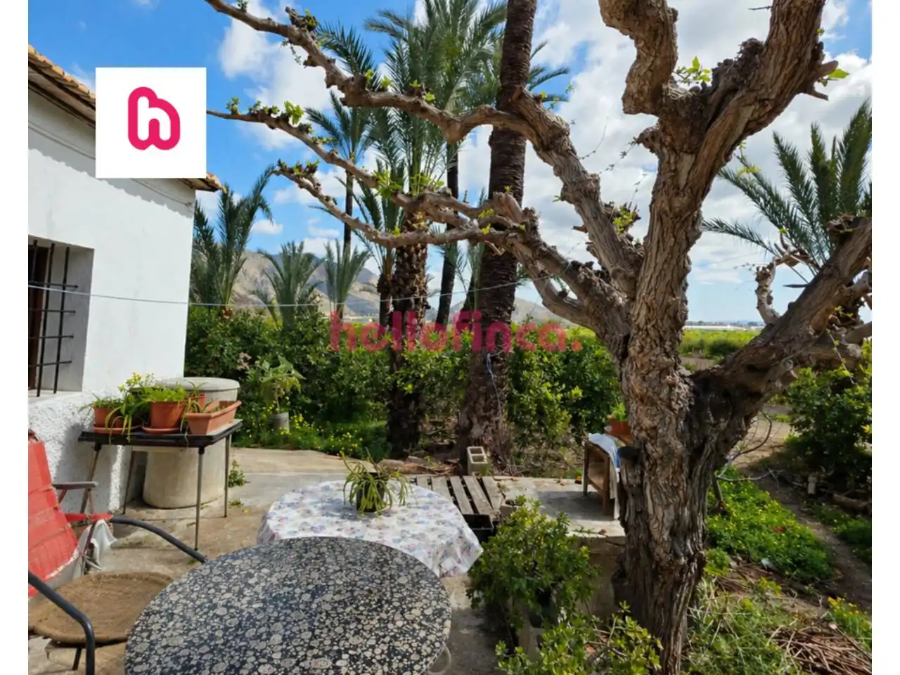 Jardí de Finca rústica en venda en Orihuela amb Aire condicionat, Calefacció i Jardí privat