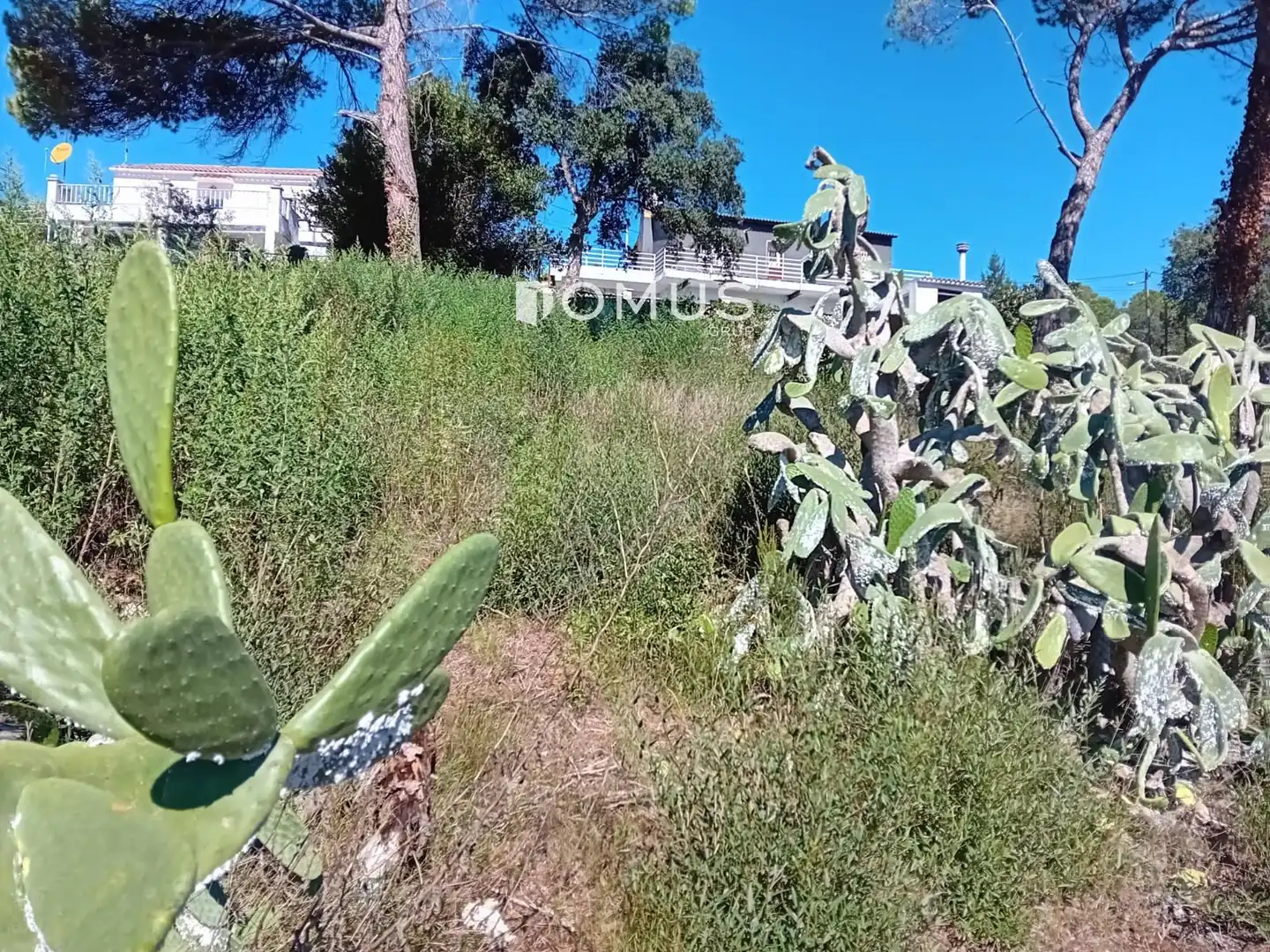 Terreno rustico in vendita a Dels Eucaliptus, imagen 2