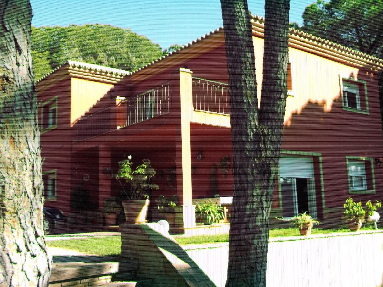 Garden of House or chalet for sale in Chiclana de la Frontera