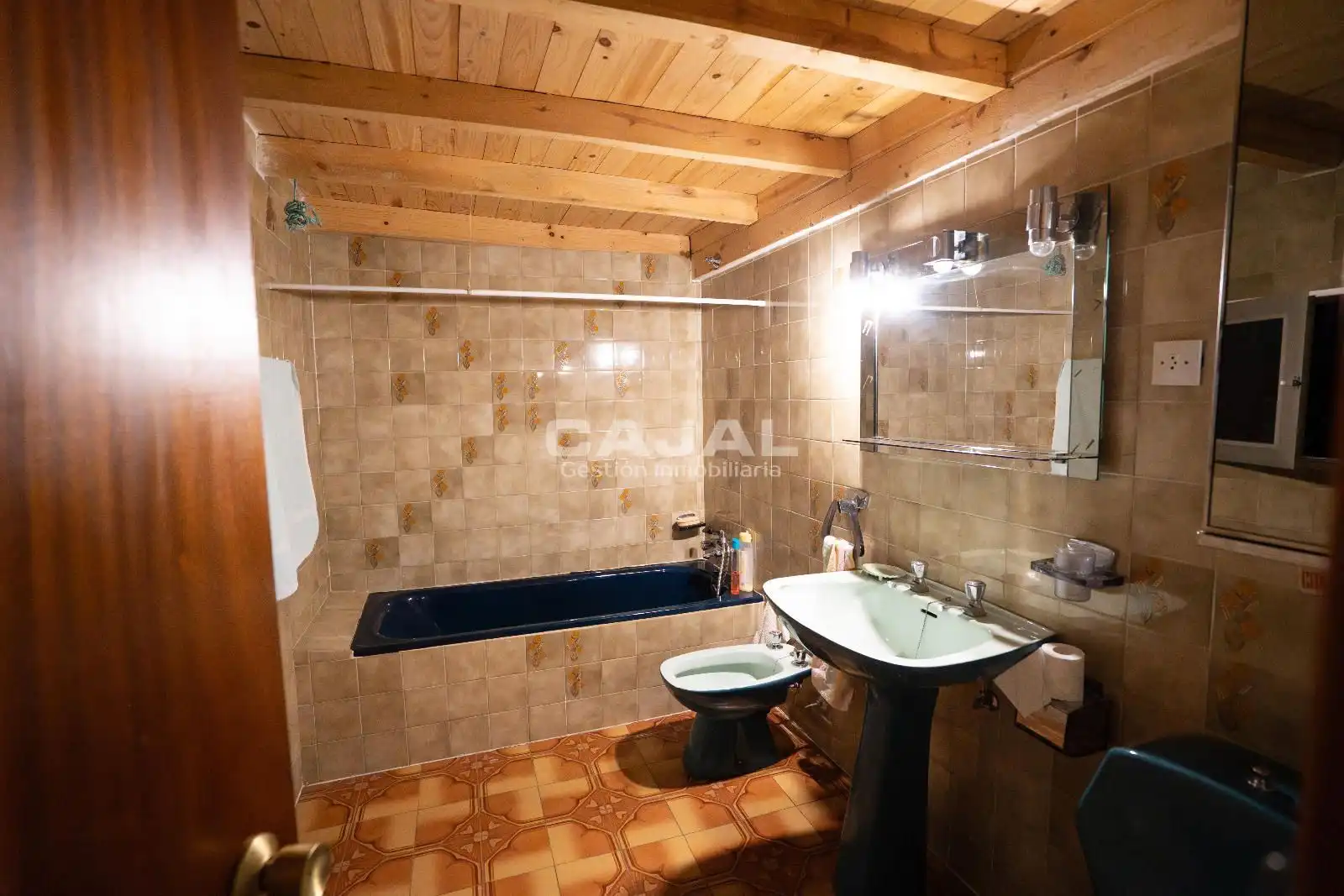 Baño de Casa o chalet en venta en Riaza con Jardín privado