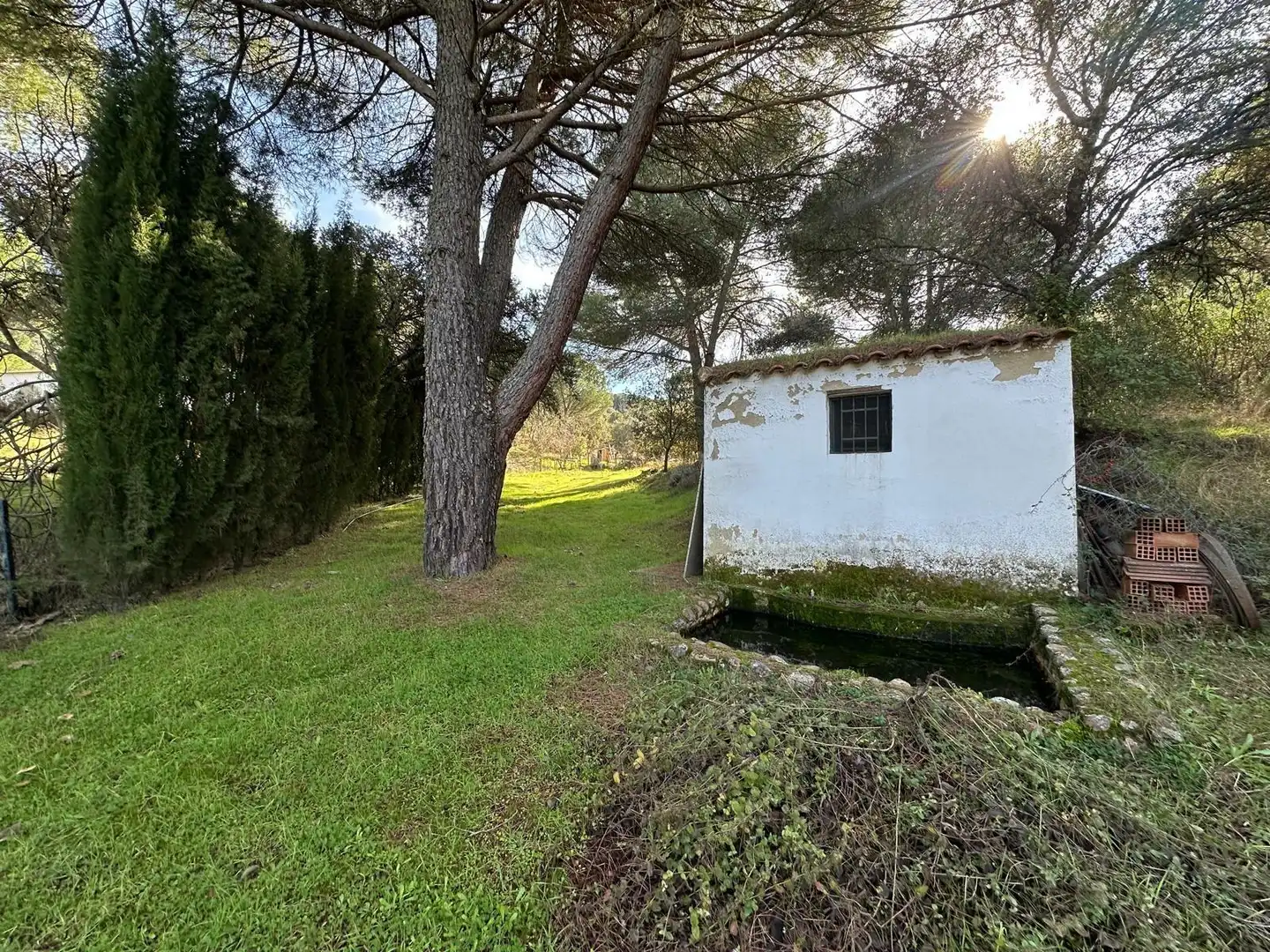 Jardín de Casa o chalet en venta en Villaviciosa de Córdoba con Calefacción, Jardín privado y Terraza