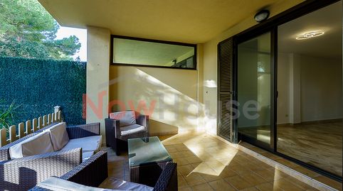 Photo 2 of Ground floor for sale in Carrer del Tord, Maioris-Puig de Ros, Llucmajor