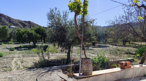 Foto 3 de Finca rústica en venta en Purchena, Almería