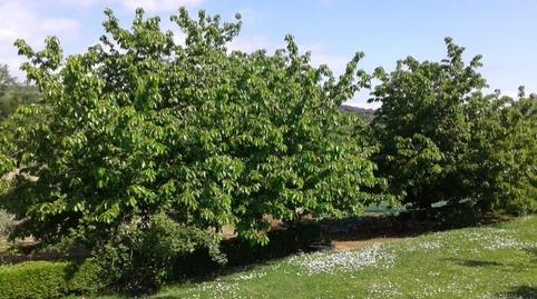Foto 3 de Casa o xalet en venda a Pancorbo, Burgos