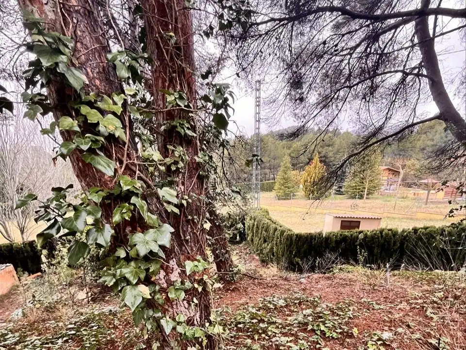 Casa amb piscina en venda a Sargento (El), imagen 7