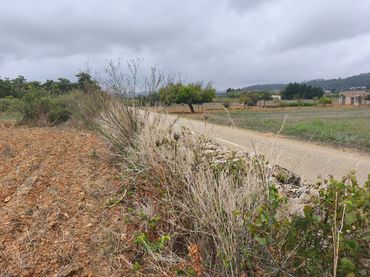 Terreno rústico en venta en Algaida
